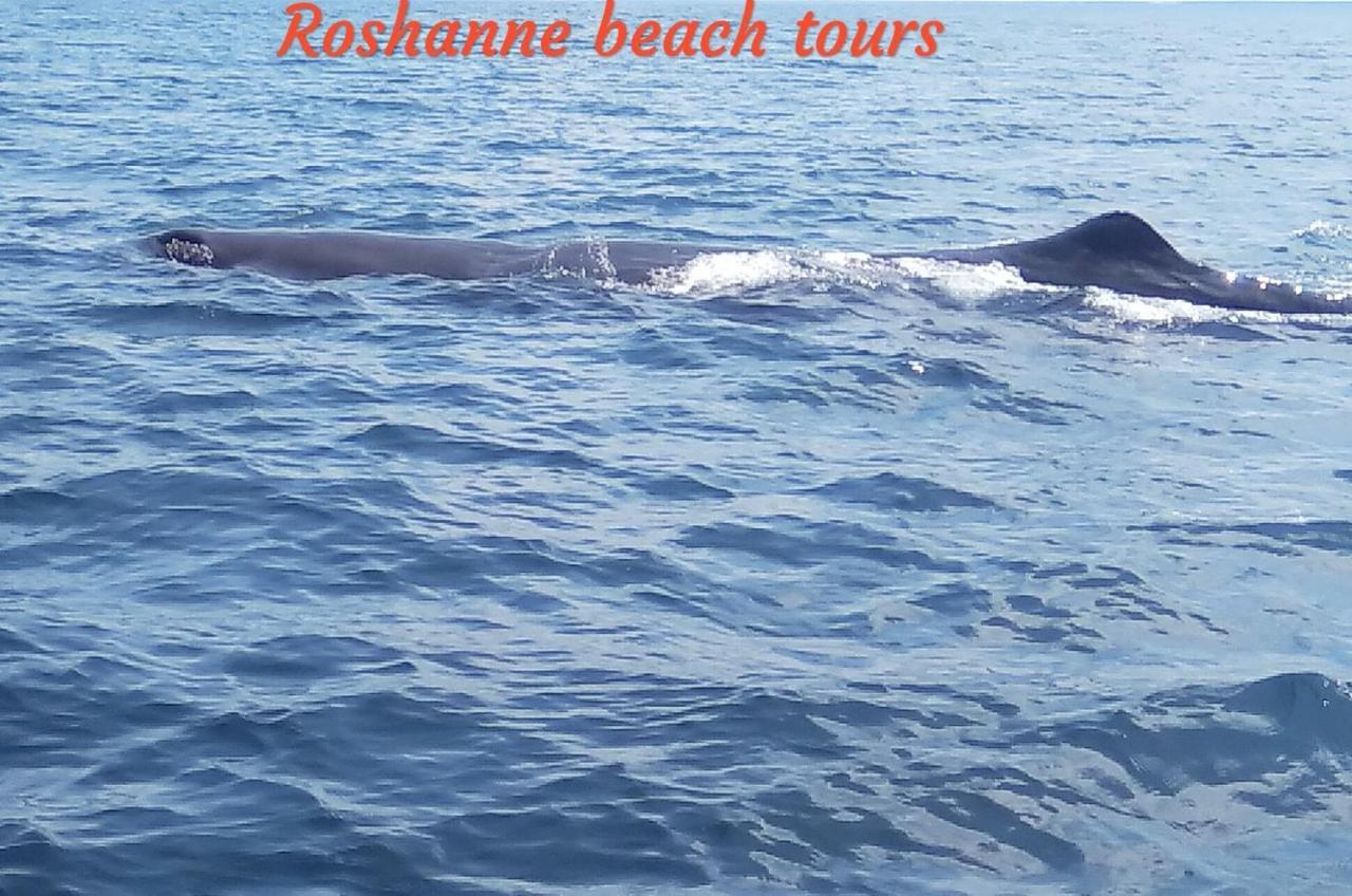 Roshanne Beach Resort Калпітія Екстер'єр фото
